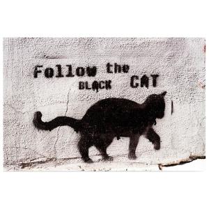 Cuadro - Follow The Black Cat (Sigue Al Gato Negro) cm. 50x…
