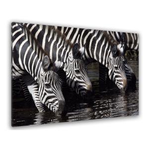 Cuadro foto de cebras impresión sobre lienzo 45x30cm