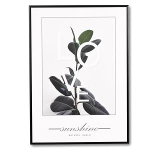 Cuadro fotografía con hojas de 70x50