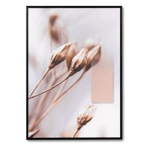 Cuadro fotografía de flores tonos claros