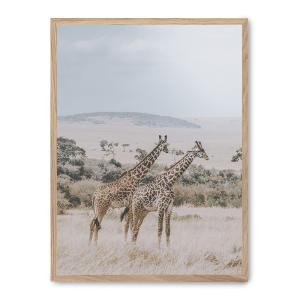 Cuadro giraffe in the savana i, marco roble, 30x40 cm