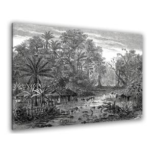 Cuadro grabado bosque de manglares impresión sobre lienzo 6…