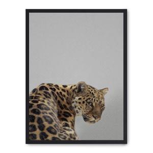 Cuadro leopard, marco negro, 30x40 cm