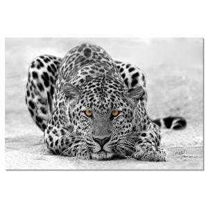 Cuadro leopardo blanco y negro impresión sobre lienzo 90x60…
