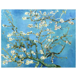 Cuadro lienzo - Almendro en Flor - Vincent Van Gogh - 40x50…