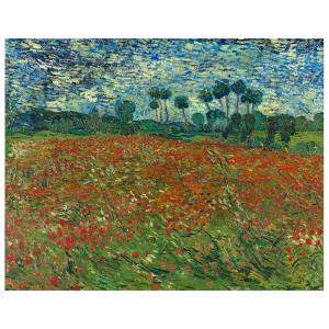 Cuadro lienzo - Campo de Amapolas - Vincent Van Gogh - cm.…