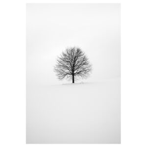 Cuadro lienzo - Invierno blanco - 60x90cm