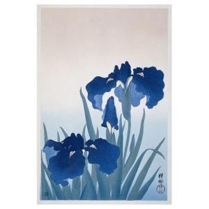 Cuadro lienzo - Iris - Ohara Koson - Decoración Pared cm. 6…