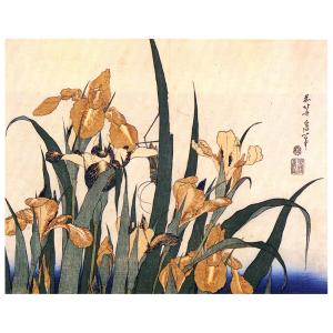 Cuadro lienzo - Iris y Saltamontes - Katsushika Hokusai - c…