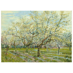Cuadro lienzo - La Huerta Blanca - Vincent Van Gogh 60x80cm
