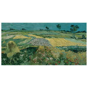 Cuadro lienzo - La Llanura de Auvers - Vincent Van Gogh - 5…