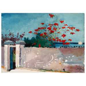 Cuadro lienzo - Una Pared, Nassau - Winslow Homer - 80x110cm