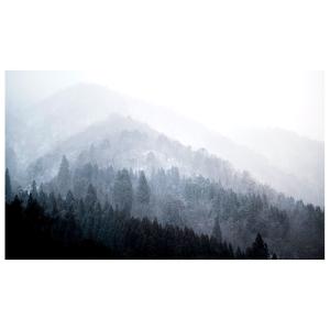Cuadro - Los Árboles En La Niebla cm. 50x80