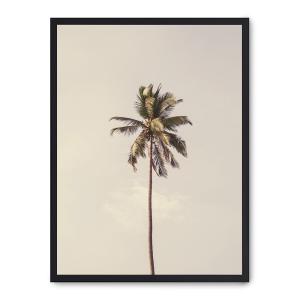 Cuadro palm tree and sky iii, marco negro, 30x40 cm