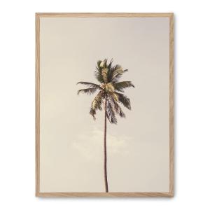 Cuadro palm tree and sky iii, marco roble, 50x70 cm