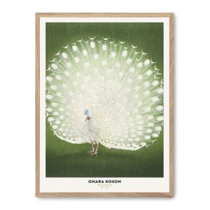 Cuadro white peacock beauty, marco roble, 30x40 cm