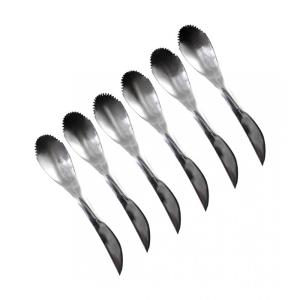 Cucharas inox kiwi/pomelo - lote de 6
