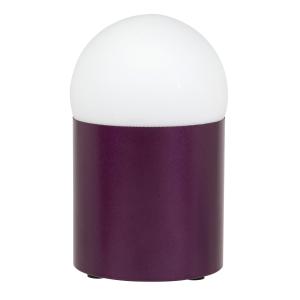 Decoración luminosa de metal violeta