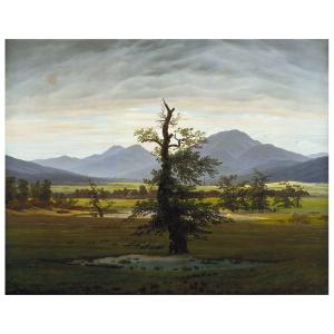 El Árbol Solitario - Caspar David Friedrich - cm. 80x100