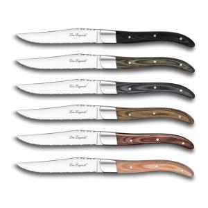 Estuche de 6 cuchillos carne  multicolor