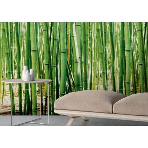 Fondo de pantalla de bambú no tejido 159x280cm
