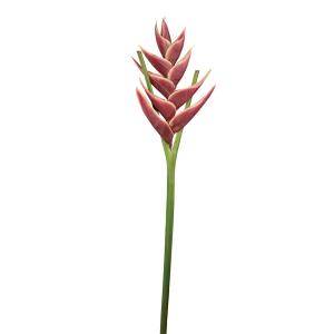 Heliconia artificial burdeos h104