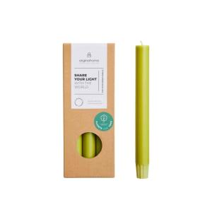 Juego de 10 velas cirios verde musgo 20 cm
