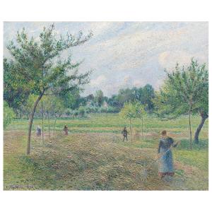 La Henificación en Eragny - Camille Pissarro - cm. 50x60