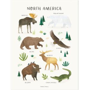 Lámina de papel animales américa del norte de 30x40 cm