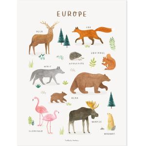 Lámina de papel animales de europa de 30x40 cm