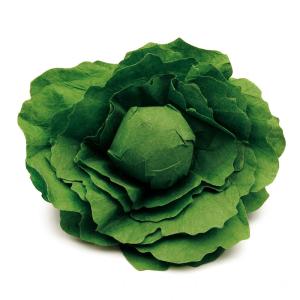 Lechuga