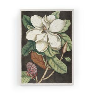 Lienzo 60x40 impresión Magnolia