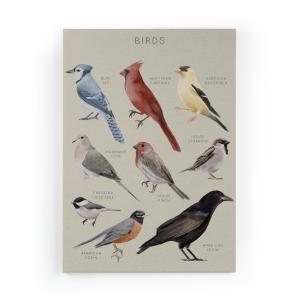 Lienzo 60x40 impresión Pájaros