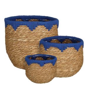 Lot de 3 cestas para plantas de zostera azul d26