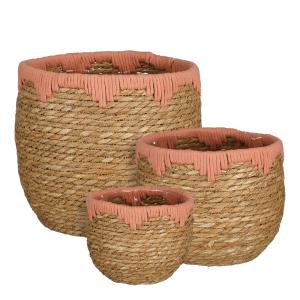 Lot de 3 cestas para plantas de zostera rosa d26