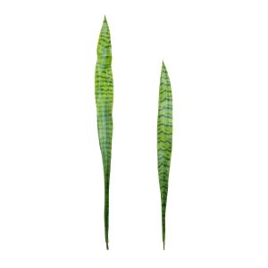 Lote de 2 hojas artificiales de sansevieria verde h91