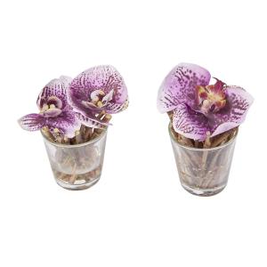 Lote de 2 orquídeas ilusión de agua artificiales fucsia d10…