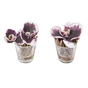 Lote de 2 orquídeas ilusión de agua artificiales moradas d1…