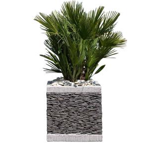 Maceta tiesto jardinera cubo pizarra 50 cm