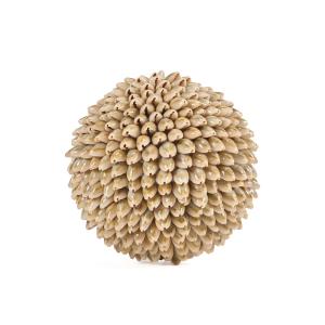 Objeto decorativo de concha blanca 13x13x13 cm