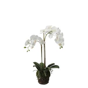 Orquídea artificial en tierra blanca h70