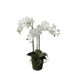 Orquídea artificial en tierra blanca h75