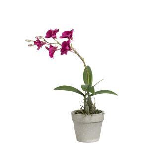 Orquídea dendrobium en maceta artificial fucsia h28