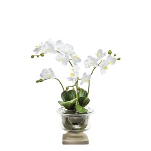 Orquídea en copa artificial blanca h106