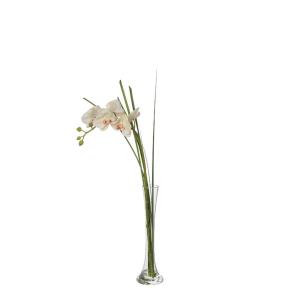 Orquídea en ilusión de agua artificial crema h60