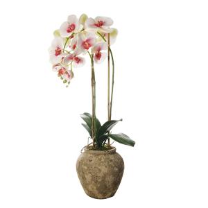 Orquídea en maceta artificial blanca y rosa h71