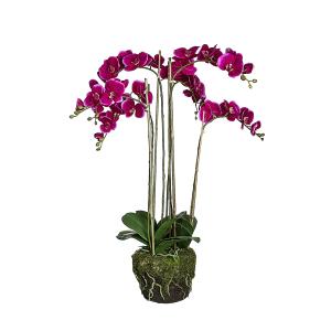 Orquídea en tierra artificial morada h100