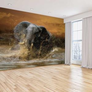 Papel pintado baño impactante 364x270cm