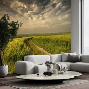 Papel pintado campos verdes 364x270cm