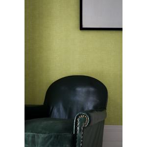 Papel pintado cocodrilo verde 1005x52cm